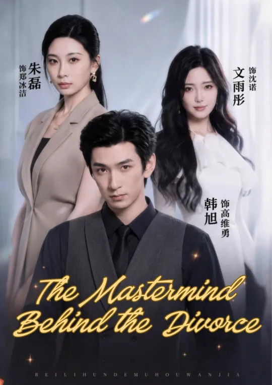 The Mastermind Behind the Divorce